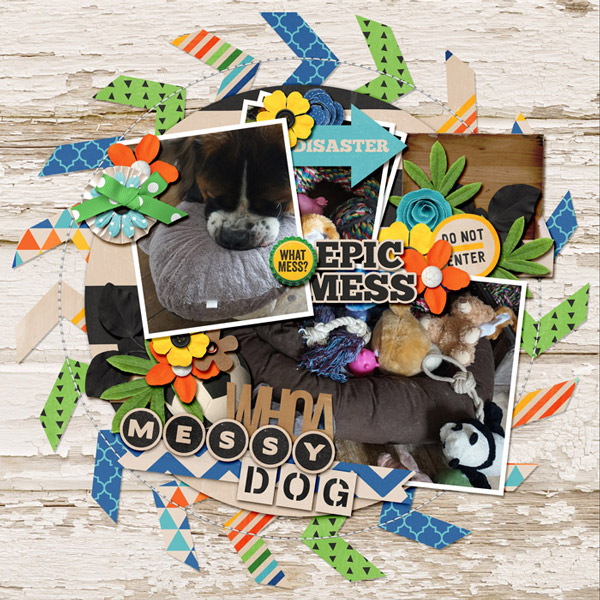 Messy Dog