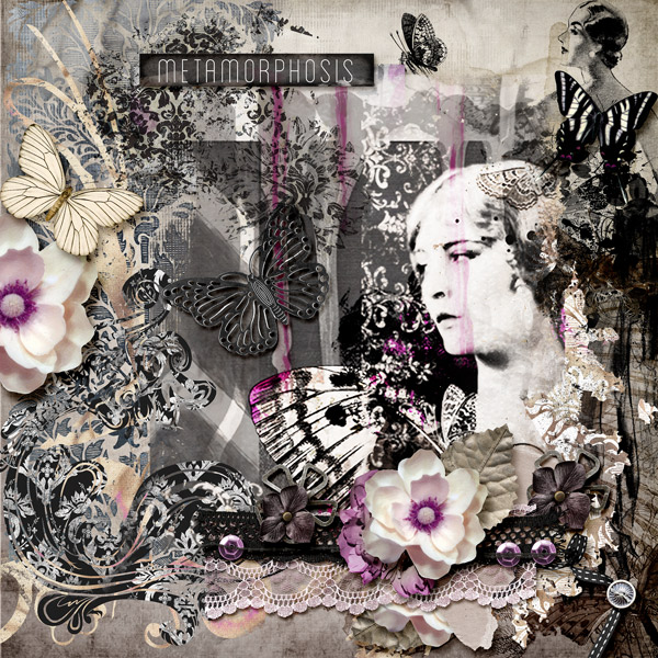 Metamorphosis