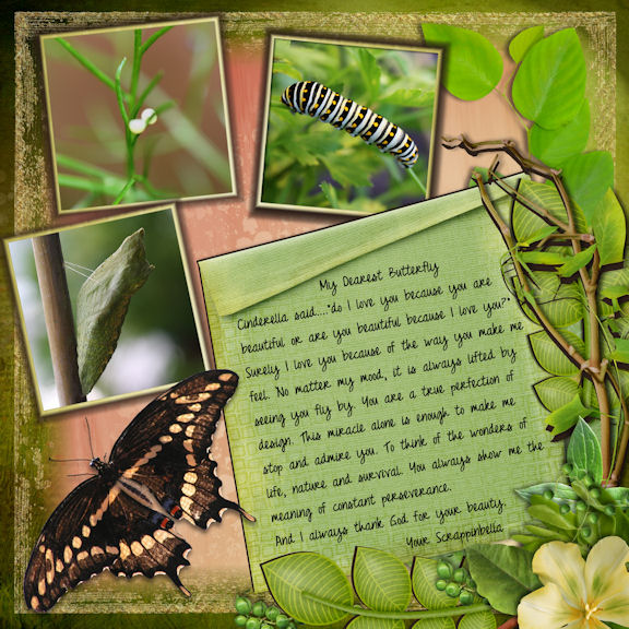 Metamorphosis