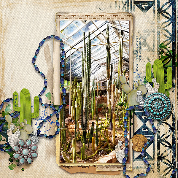 Mexican Cactus