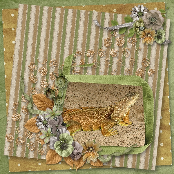 Mexican Lizard