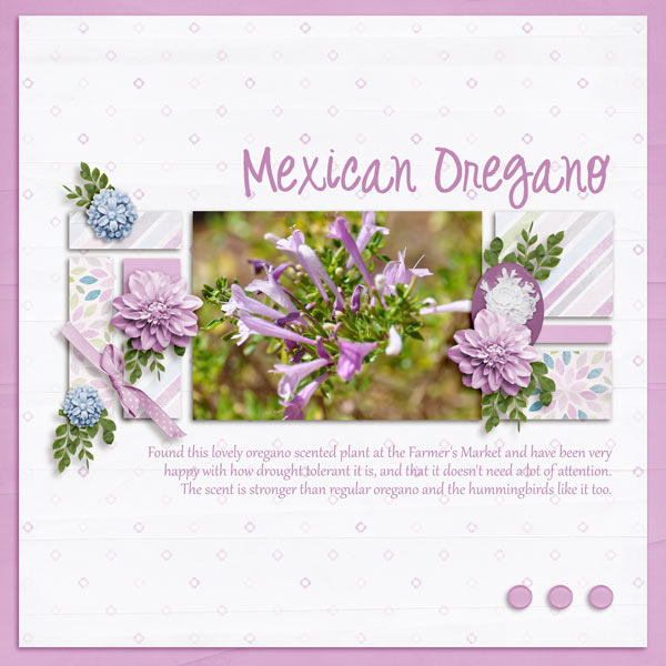 Mexican Oregano - Designer Spotlight