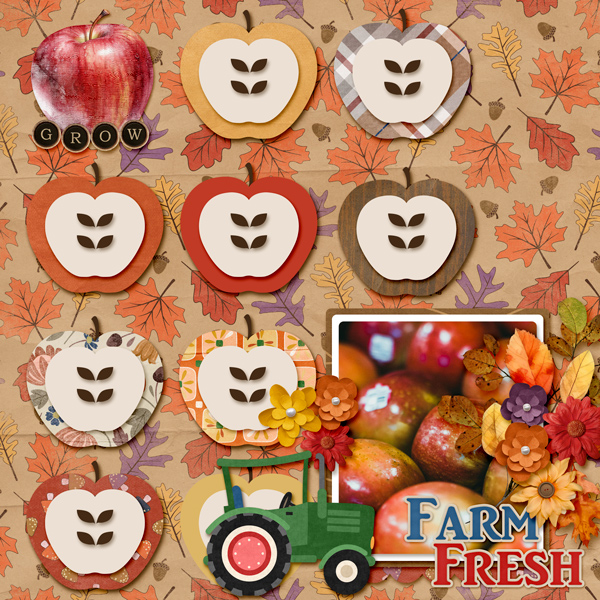 MFish_CrispDays_04_AimeeH_minis