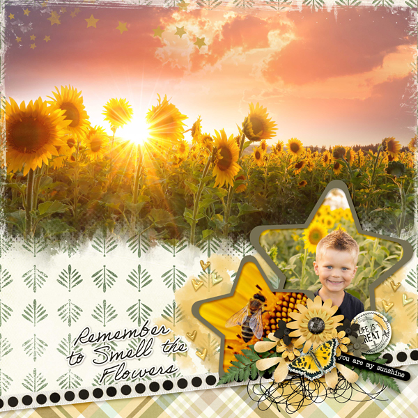 MFish_StarBright_02_tif_Barbara-600