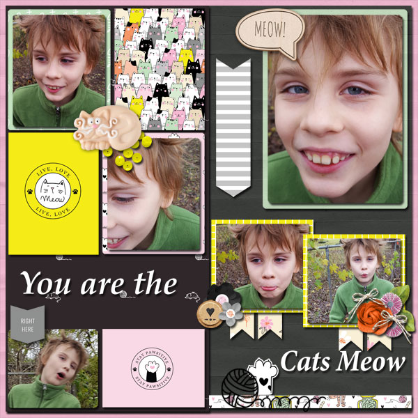 MFish_WeeklyWriteUps_RE_LiveLoveMeow