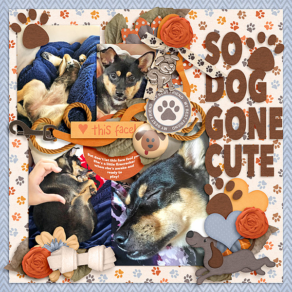 mgx_playfulpets_jo600