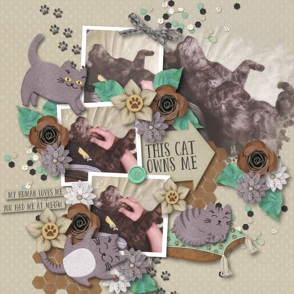 Mia cat