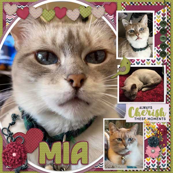 Mia