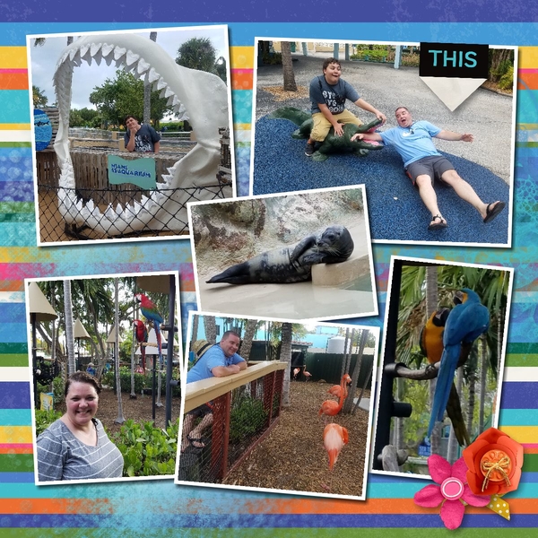 Miami Seaquarium- R