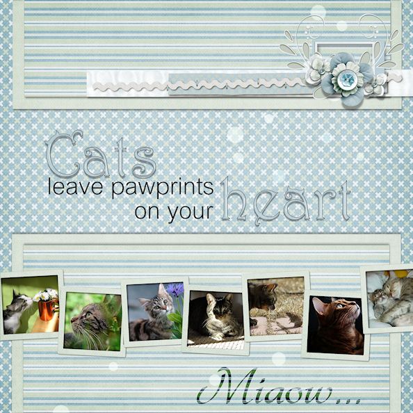 Miaow...