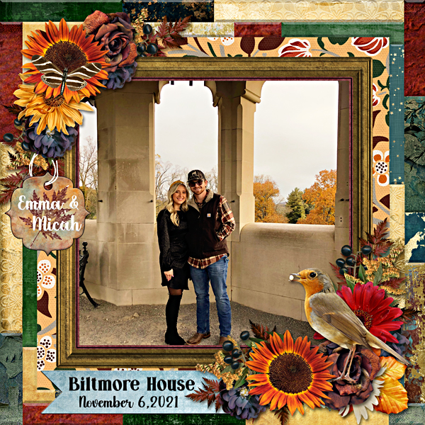 Micah and Emma Biltmore House