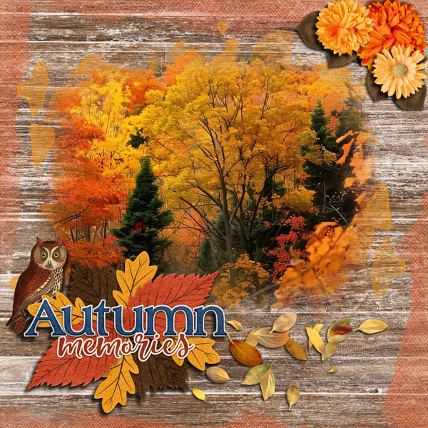 Michigan Fall Colors