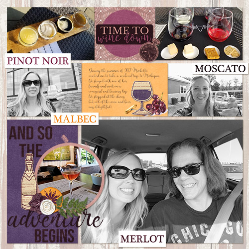 Michigan Wine