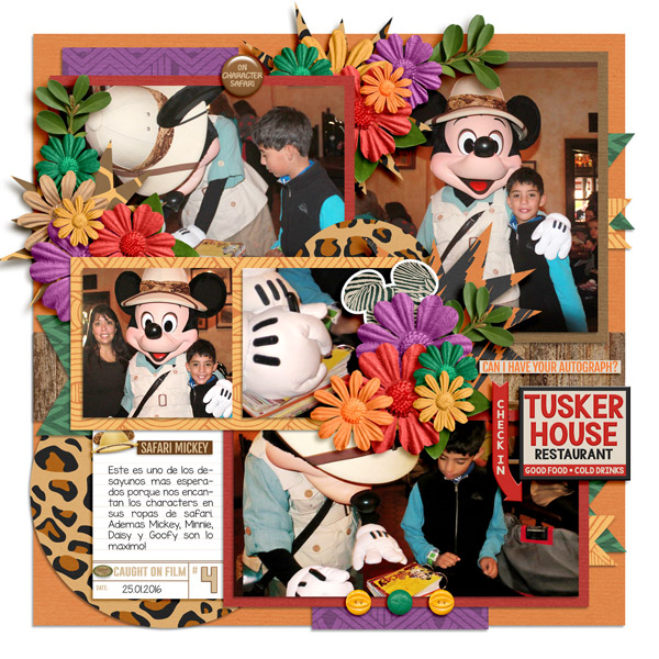 mickey safari