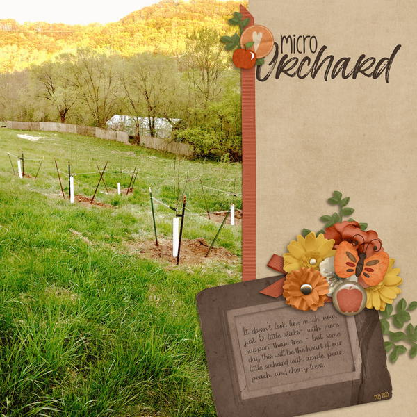 micro-orchard