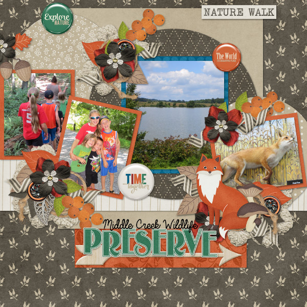 Middle Creek Wildlife Preserve