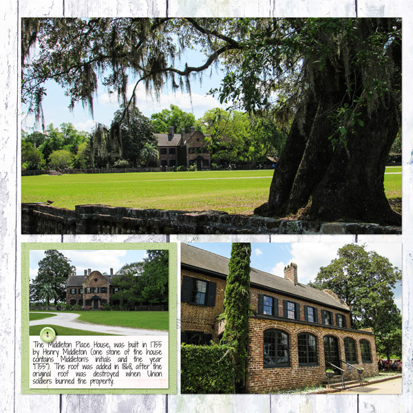 Middleton Place2