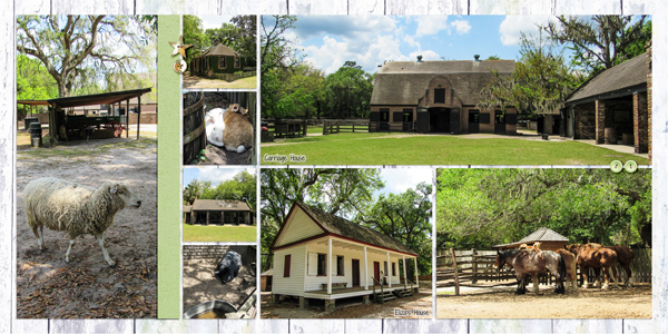Middleton Place4