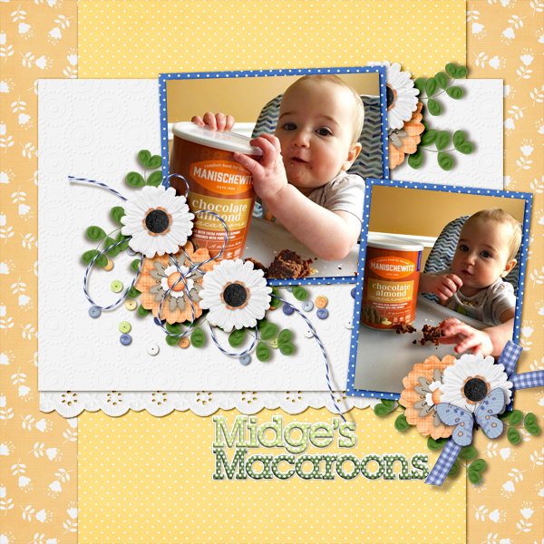 Midge's Macaroons