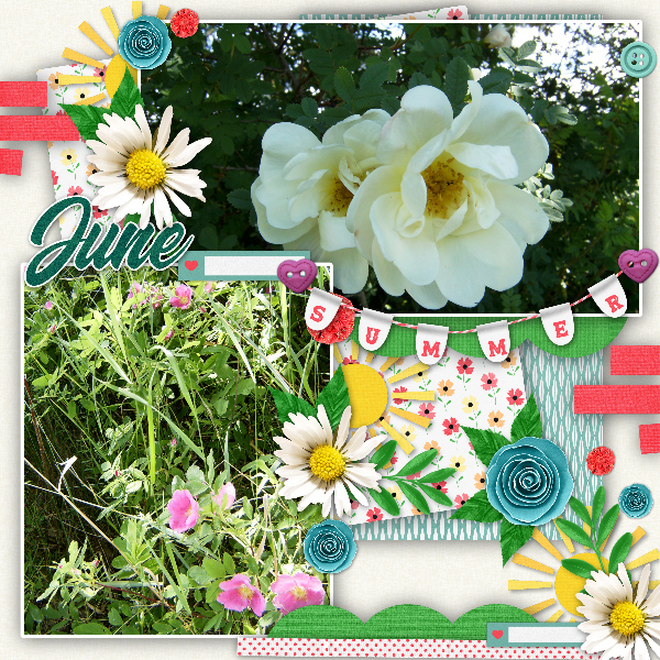 Midsummer