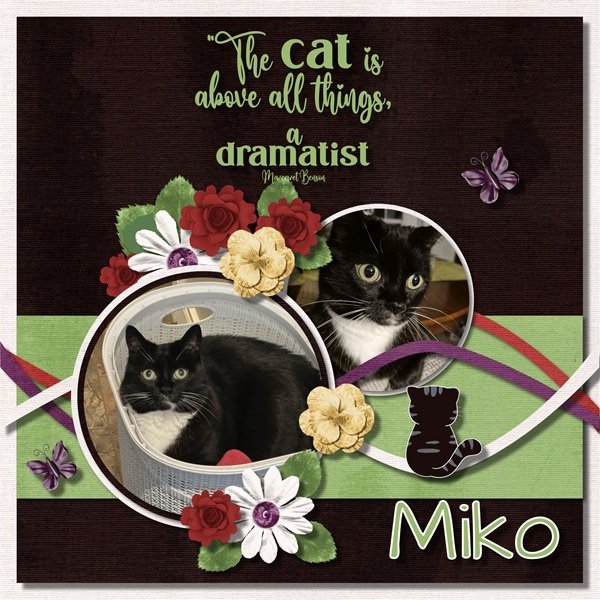 Miko
