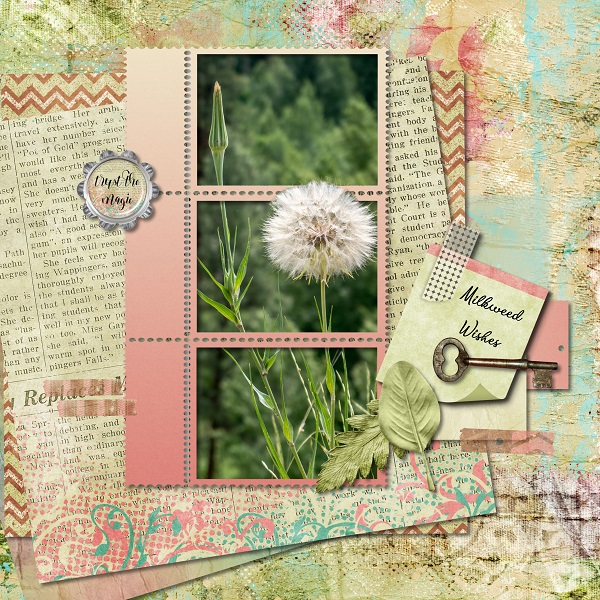 Milk Weed