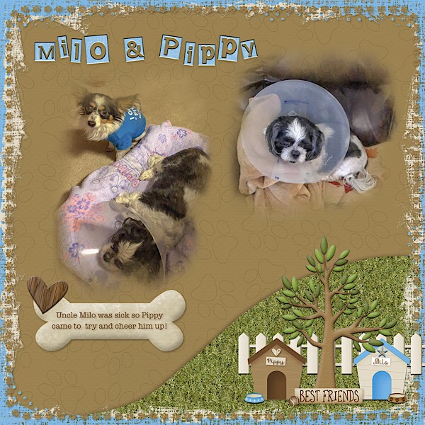 Milo and Pippy