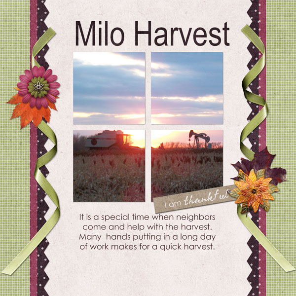 Milo Harvest