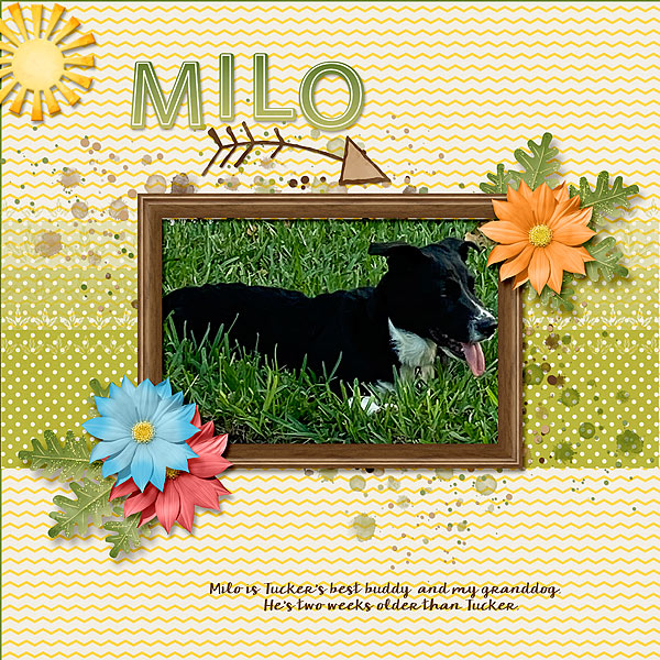 Milo