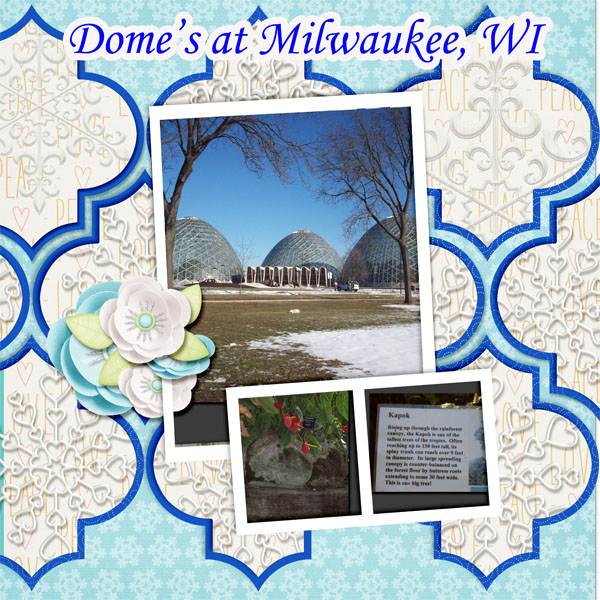 Milwauke Domes