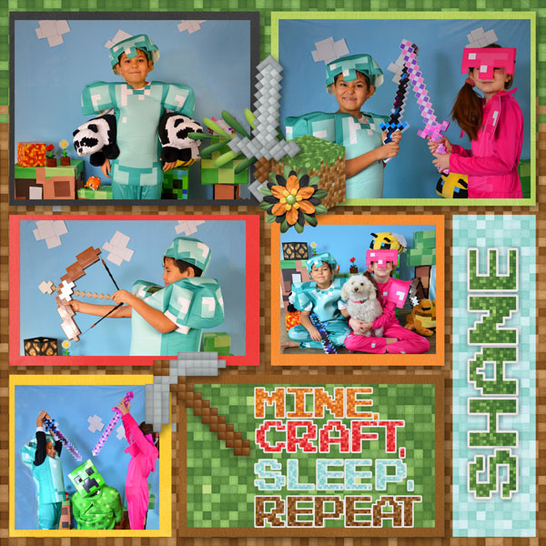 Mine Craft Sleep Repeat