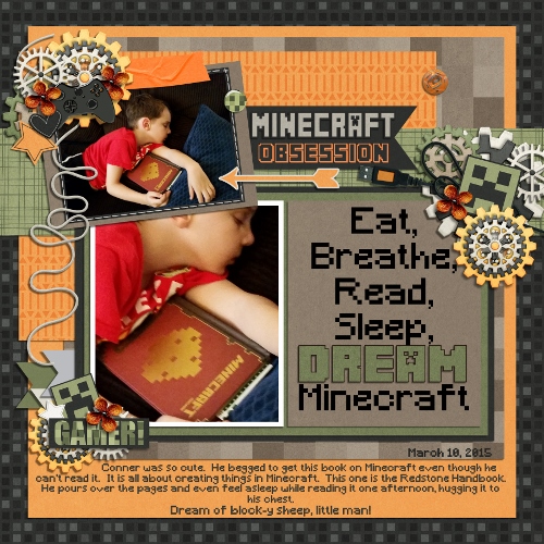 Minecraft Obsession