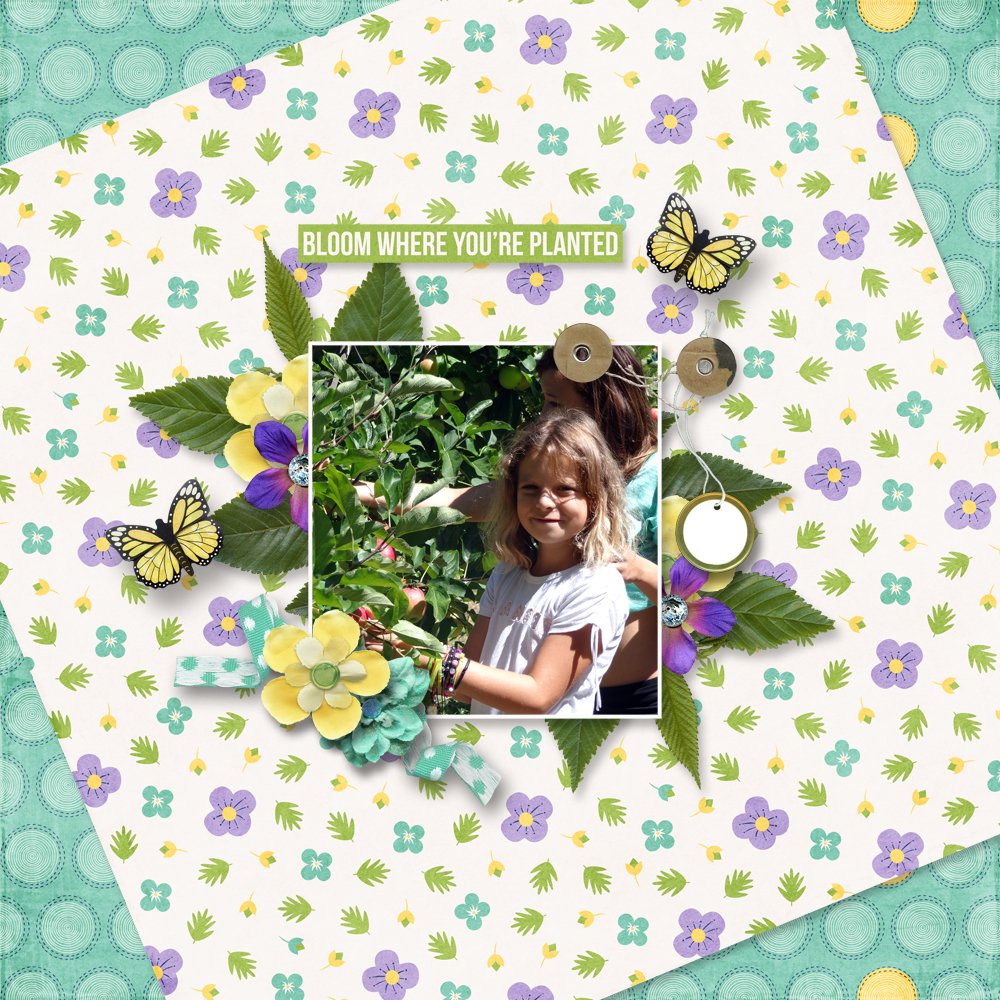 mini kit 2026-May
