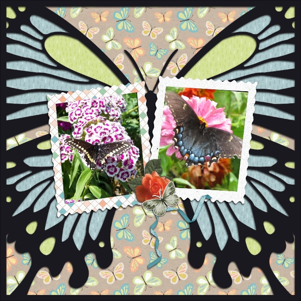Mini Kit Butterflies