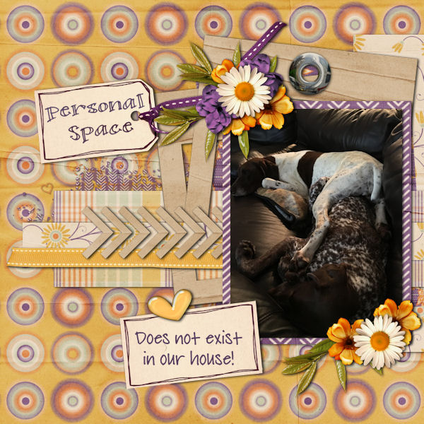 Mini Kit Challenge July
