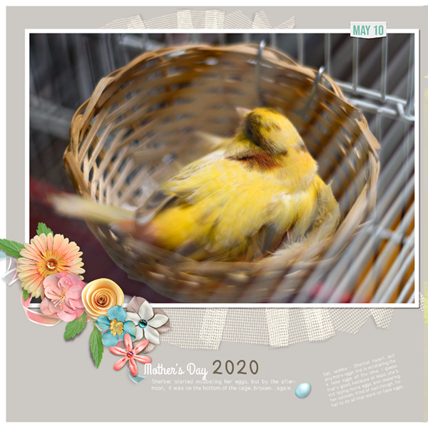 Mini Kit Challenge - Spring Flowers from Alexis, Sherbet