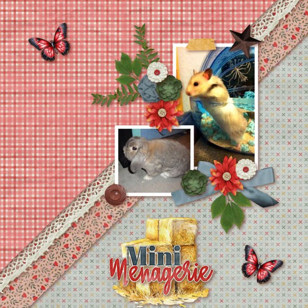 Mini Menagerie