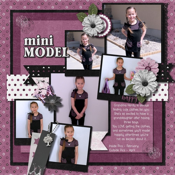 Mini Model