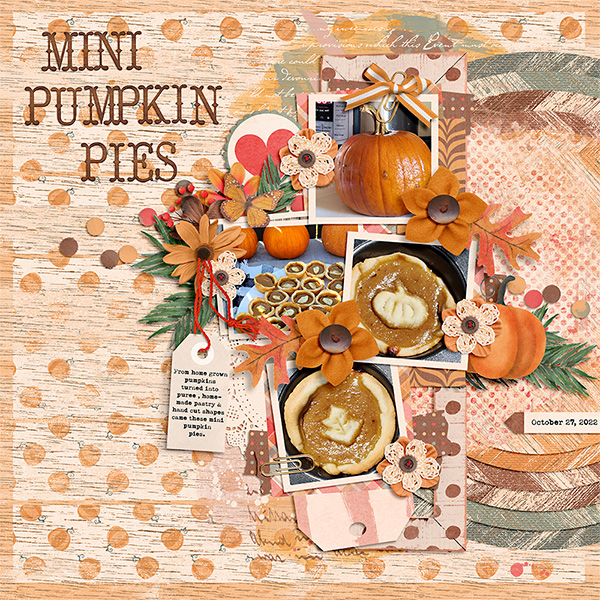 Mini Pumpkin Pies