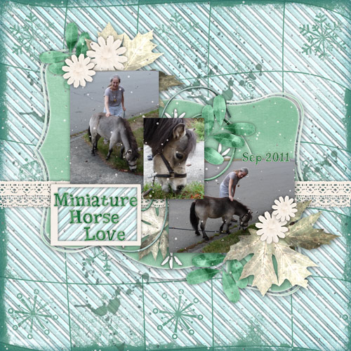 Miniature Horse Love