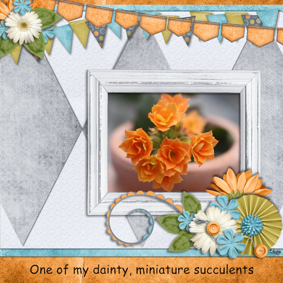 Miniatures