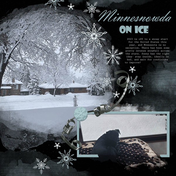 Minnesnowta on Ice