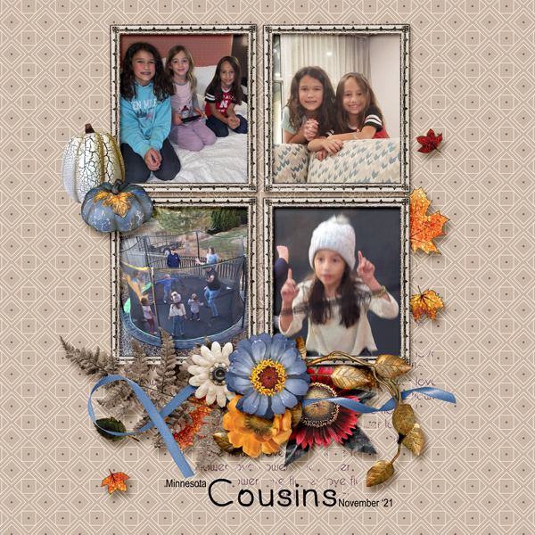 Minnesota Cousins