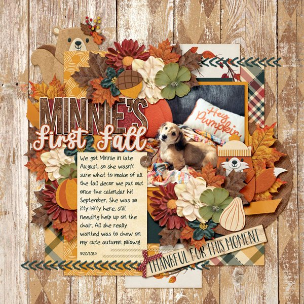 Minnie's First Fall.jpg