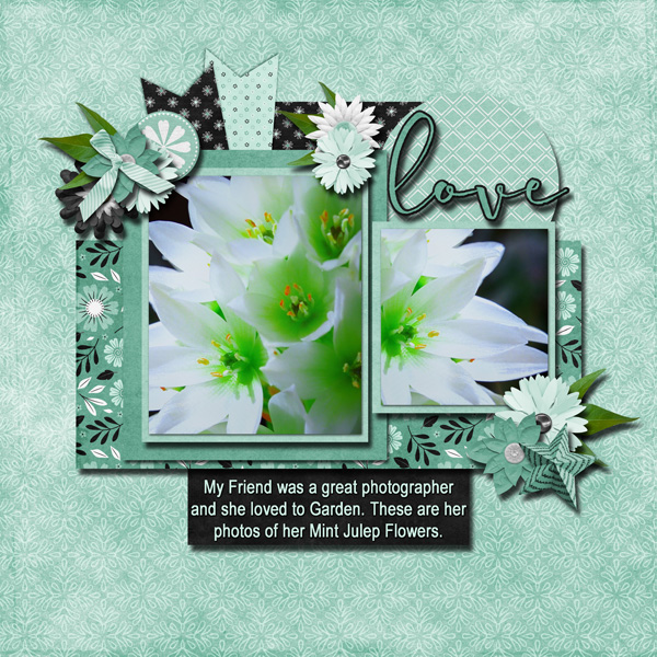 Mint Julep Flower