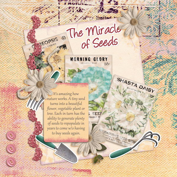 Miracle of Seeds