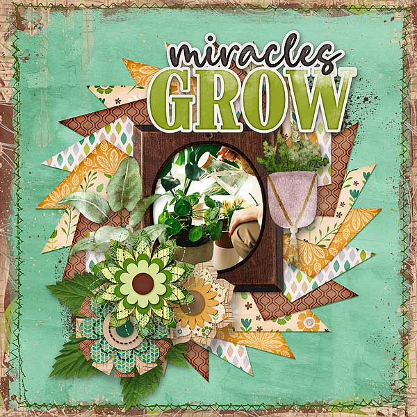 Miracles Grow