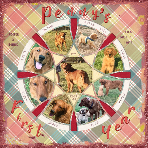 Misc-PennysFirstYear2018