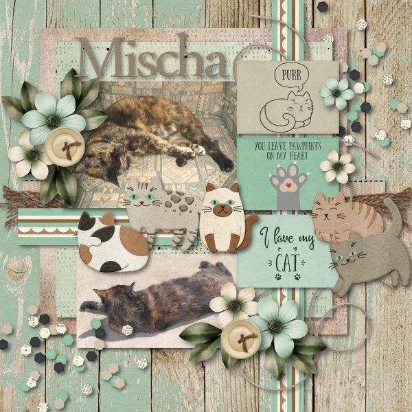 Mischa Cat