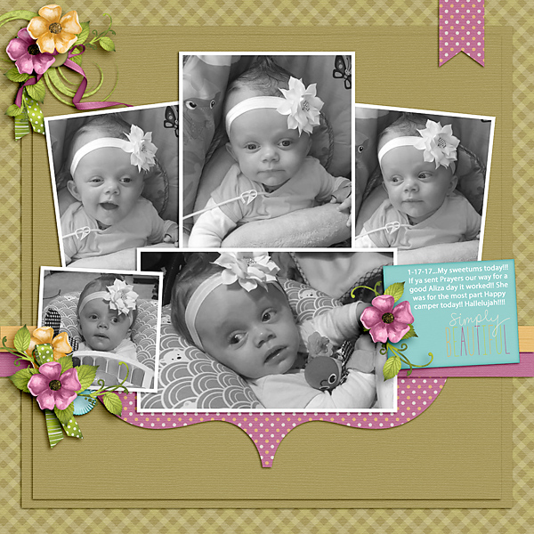 Miss Aliza Bee